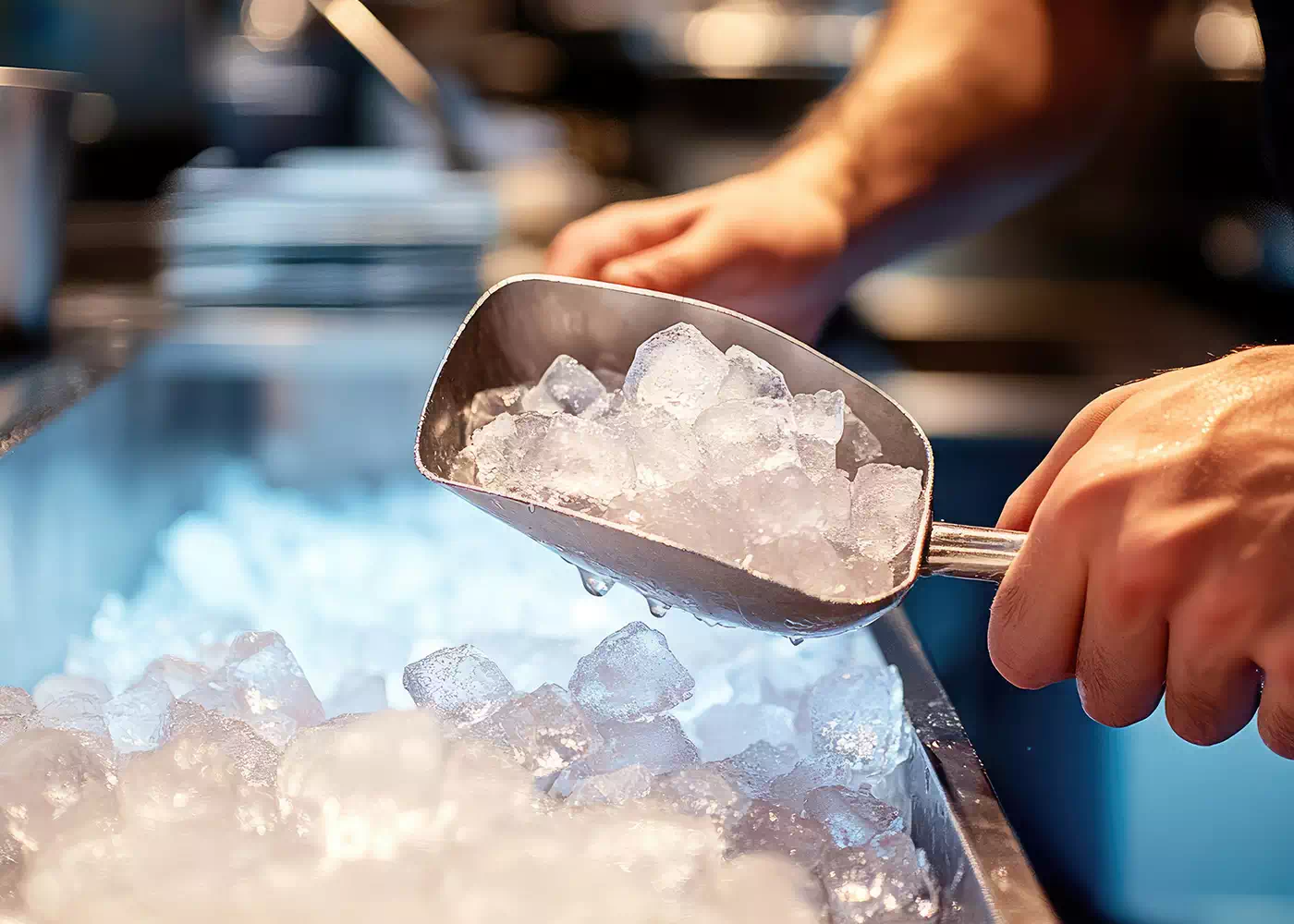 banchi-frigo-macchine-del-ghiaccio